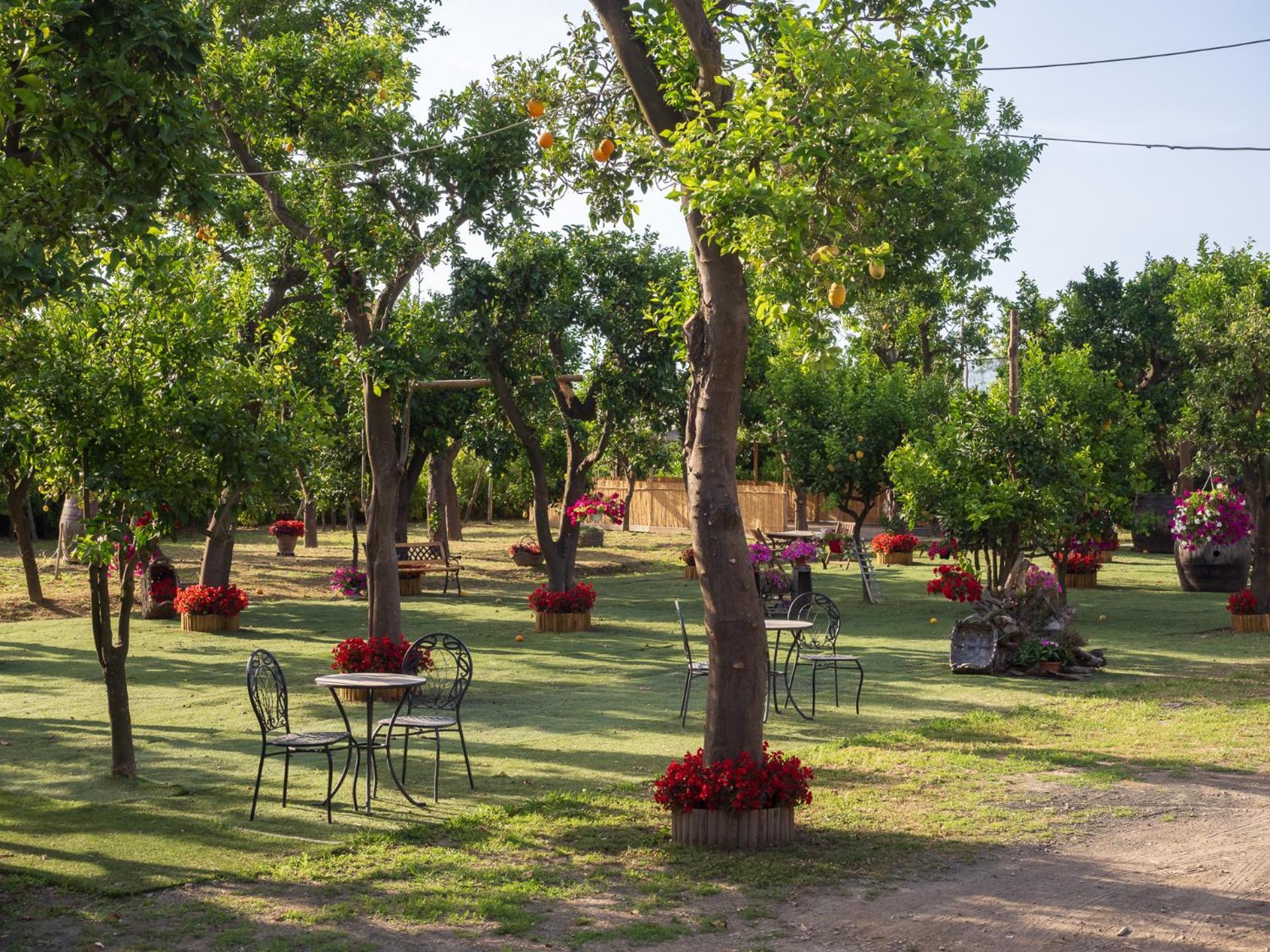 Вилла Giardino Di Nonno Lucio - Surrounded By Lemon Tree Пьяно-ди-Сорренто Экстерьер фото