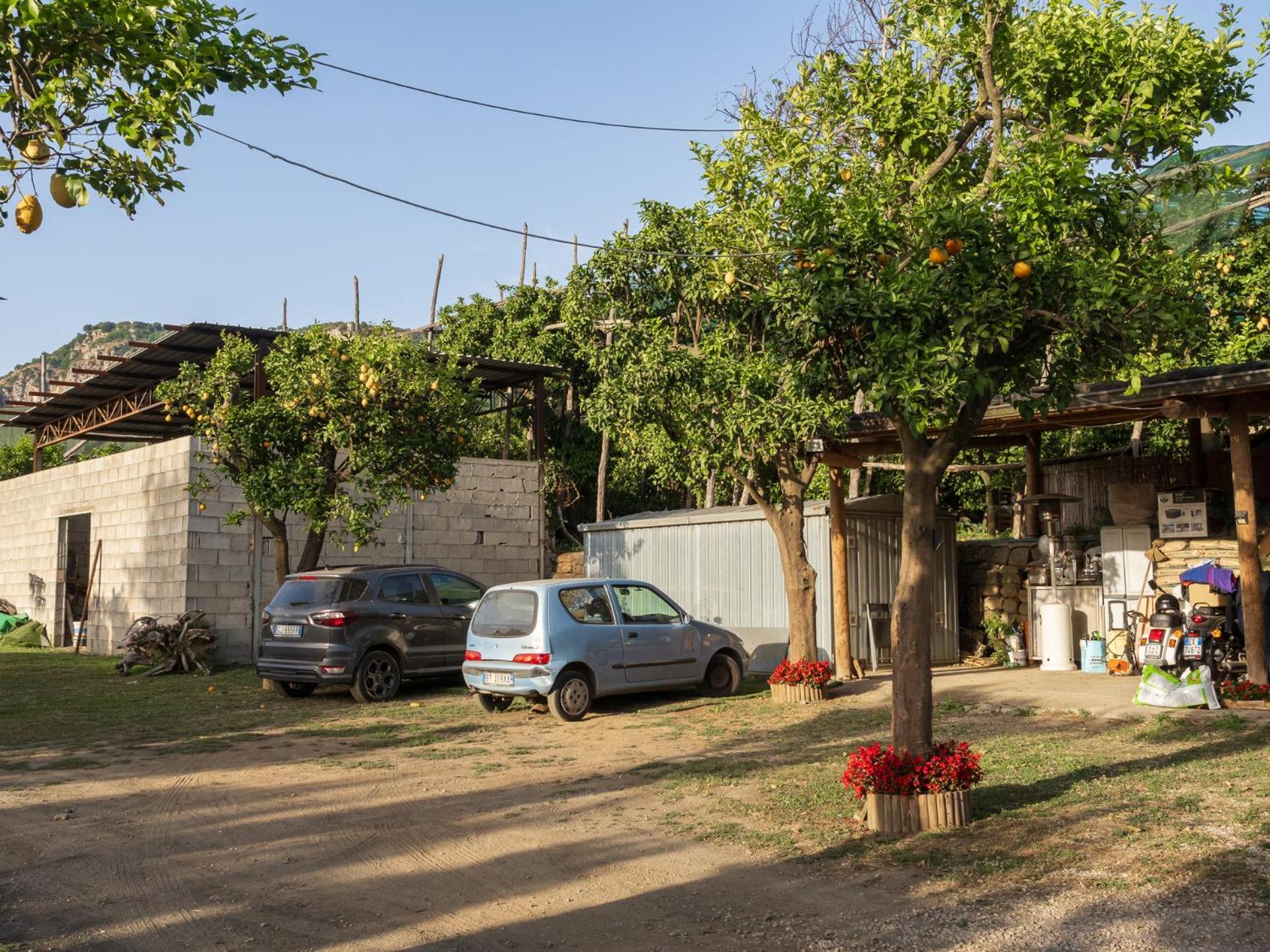 Вилла Giardino Di Nonno Lucio - Surrounded By Lemon Tree Пьяно-ди-Сорренто Экстерьер фото