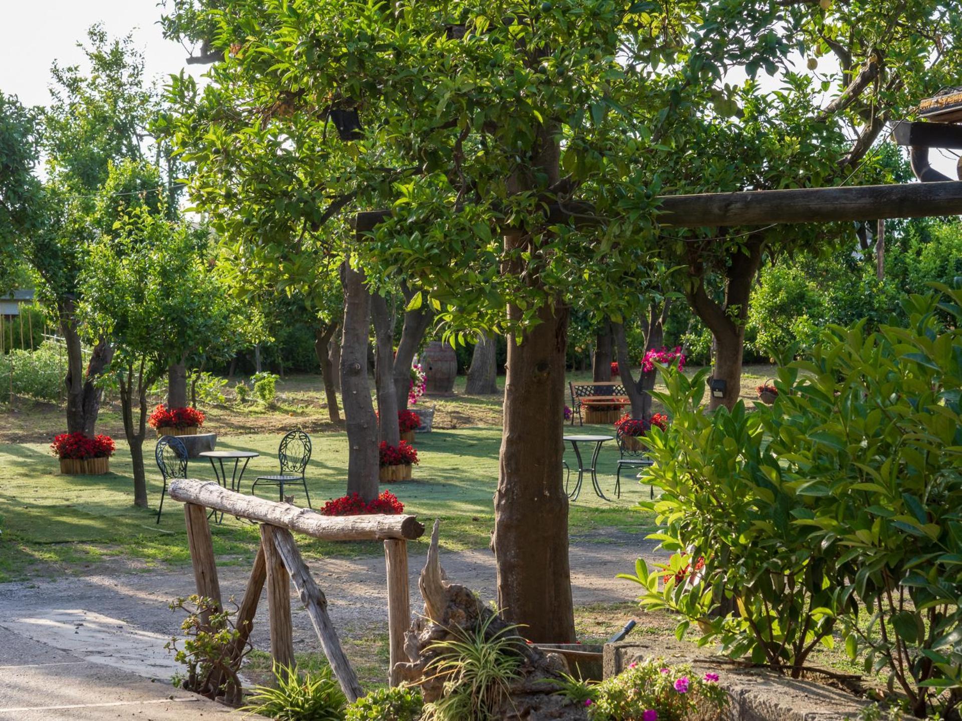Вилла Giardino Di Nonno Lucio - Surrounded By Lemon Tree Пьяно-ди-Сорренто Экстерьер фото