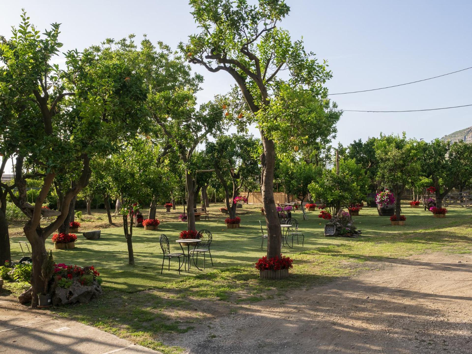 Вилла Giardino Di Nonno Lucio - Surrounded By Lemon Tree Пьяно-ди-Сорренто Экстерьер фото