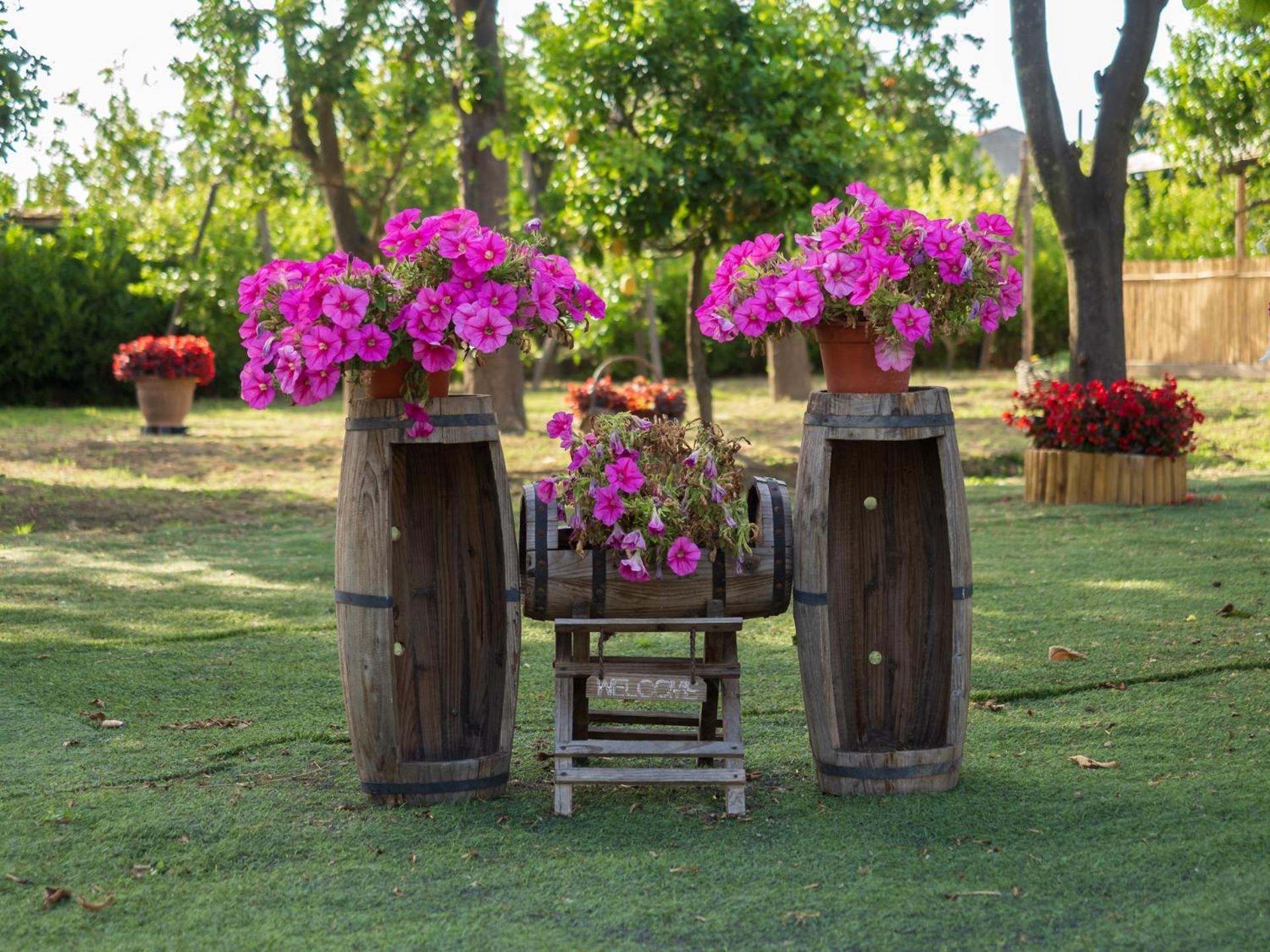 Вилла Giardino Di Nonno Lucio - Surrounded By Lemon Tree Пьяно-ди-Сорренто Экстерьер фото