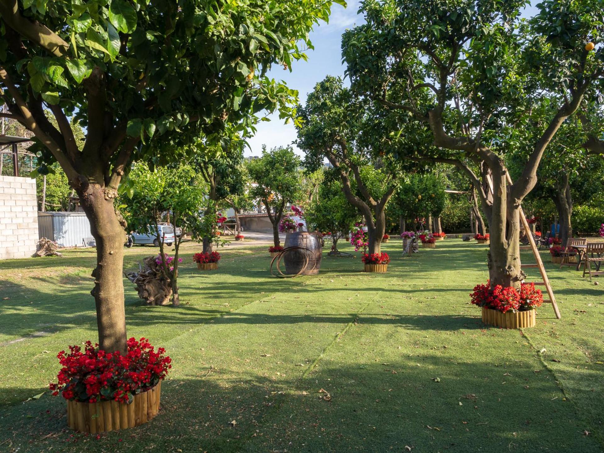 Вилла Giardino Di Nonno Lucio - Surrounded By Lemon Tree Пьяно-ди-Сорренто Экстерьер фото