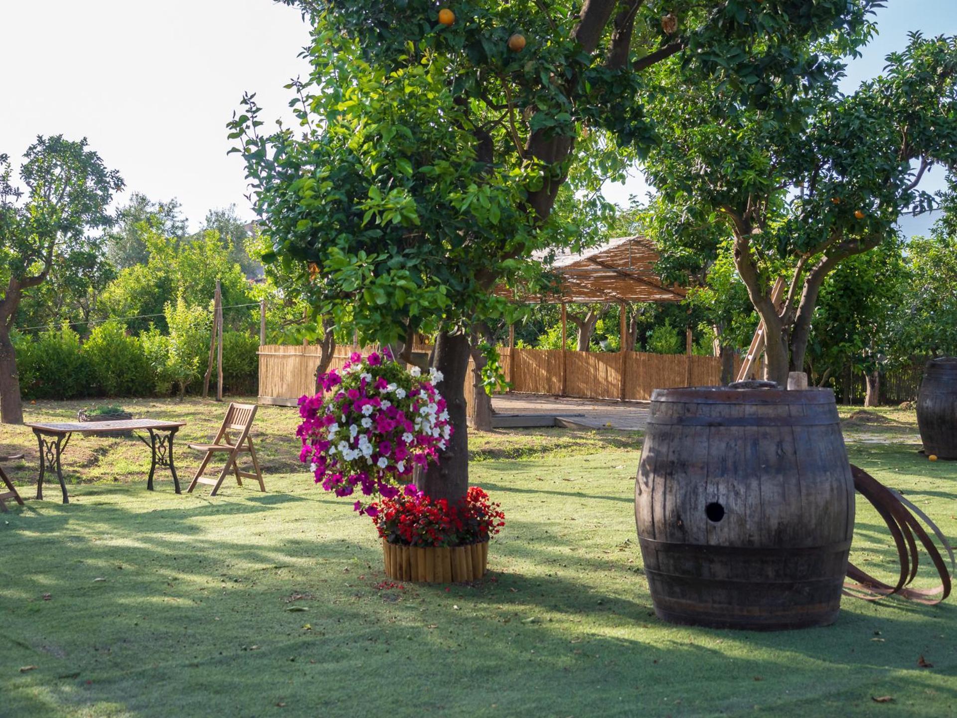 Вилла Giardino Di Nonno Lucio - Surrounded By Lemon Tree Пьяно-ди-Сорренто Экстерьер фото