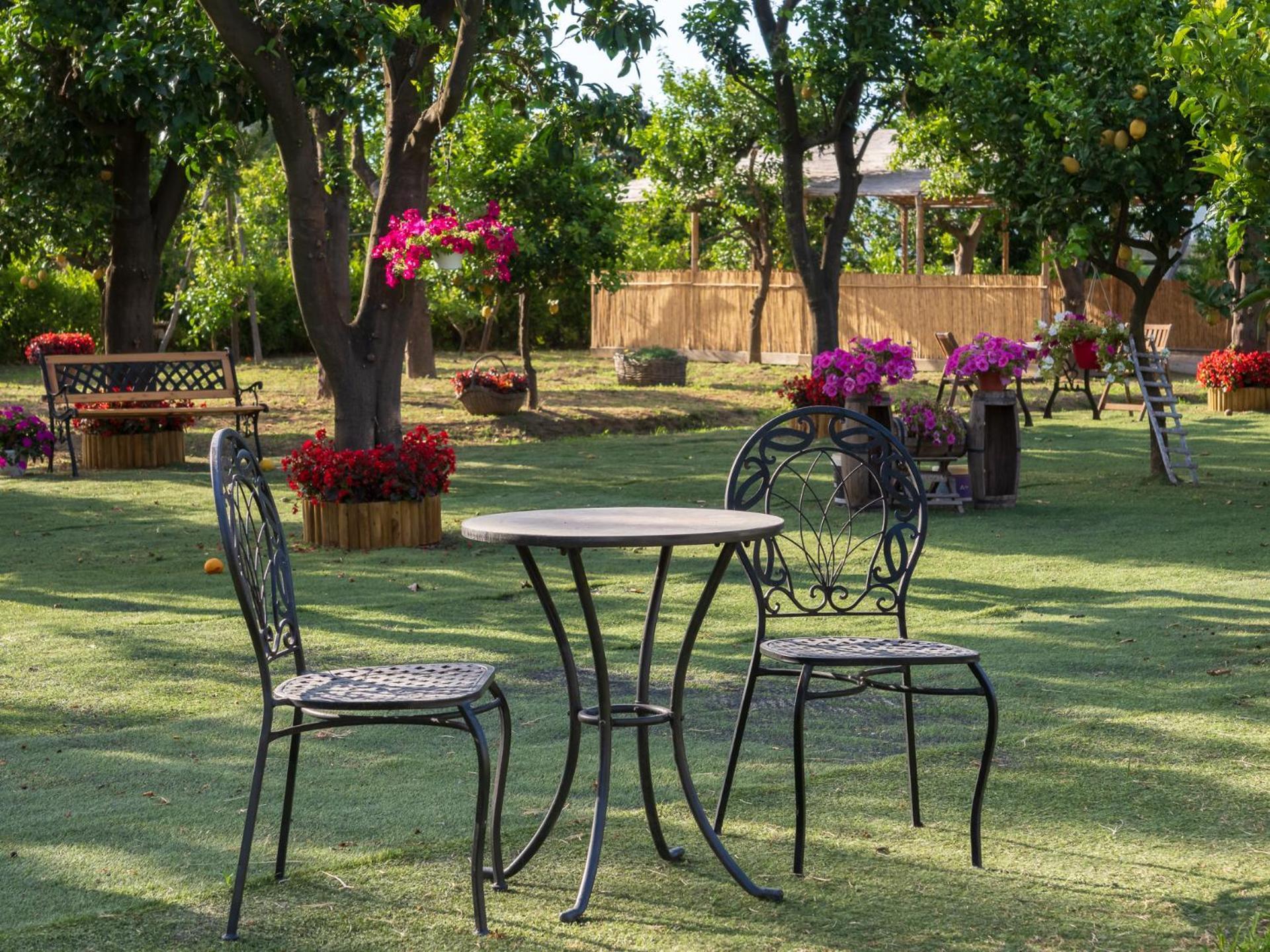 Вилла Giardino Di Nonno Lucio - Surrounded By Lemon Tree Пьяно-ди-Сорренто Экстерьер фото