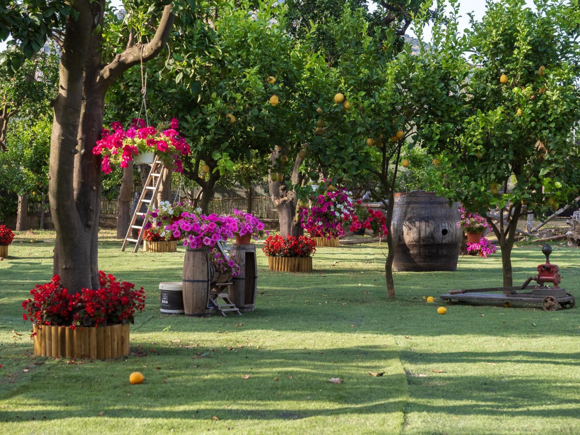 Вилла Giardino Di Nonno Lucio - Surrounded By Lemon Tree Пьяно-ди-Сорренто Экстерьер фото