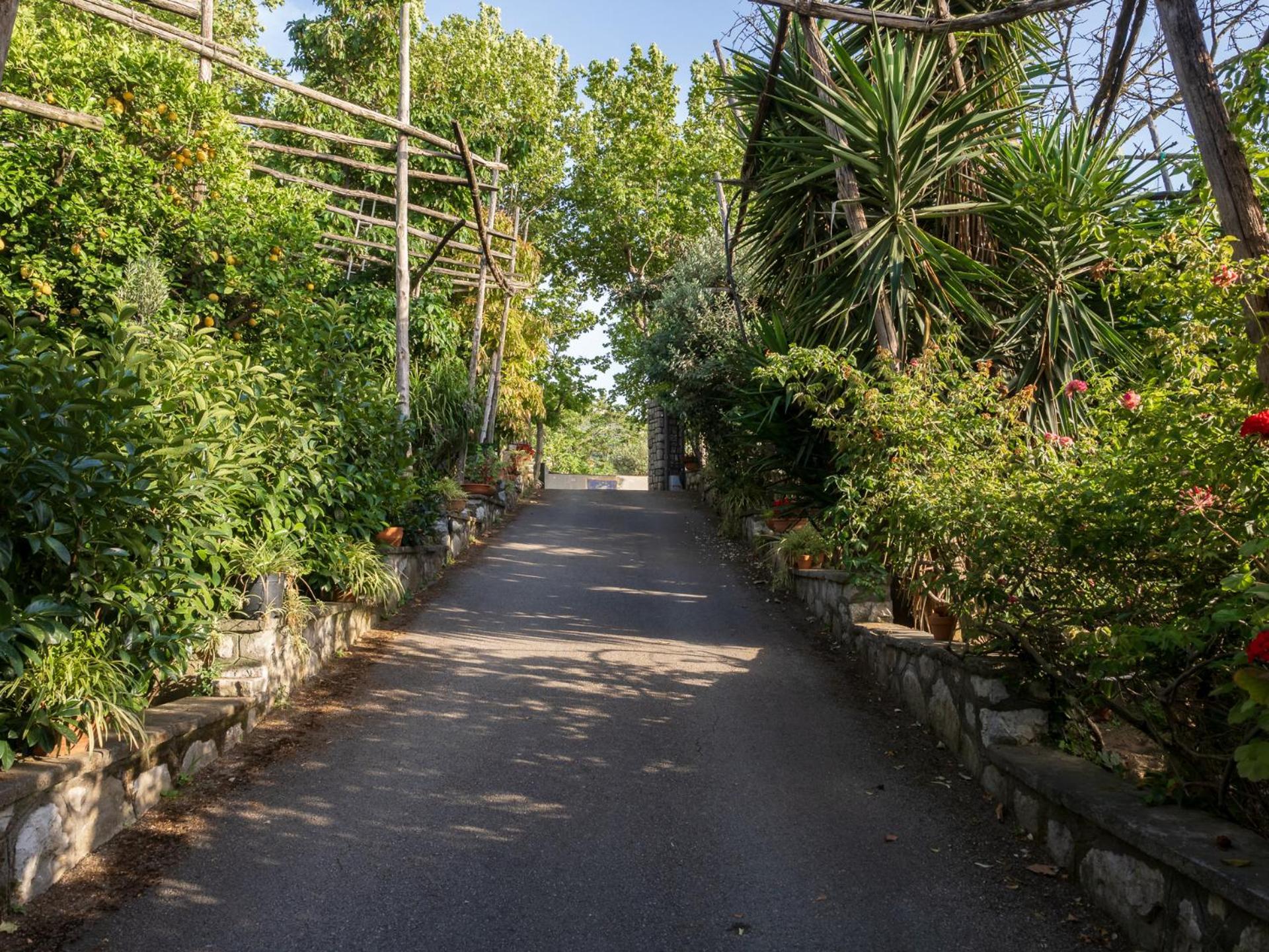 Вилла Giardino Di Nonno Lucio - Surrounded By Lemon Tree Пьяно-ди-Сорренто Экстерьер фото